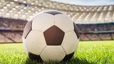 乐鱼体育 产品 111506 lmj