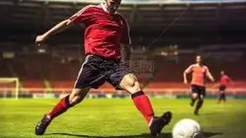 乐鱼体育 产品 112116 8uc